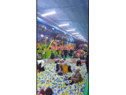 Парк аттракционов - Луна парк - на infokg.su в категории Развлечения