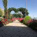 Гостиница - Jannat Resort Osh - на infokg.su в категории Гостиныцы